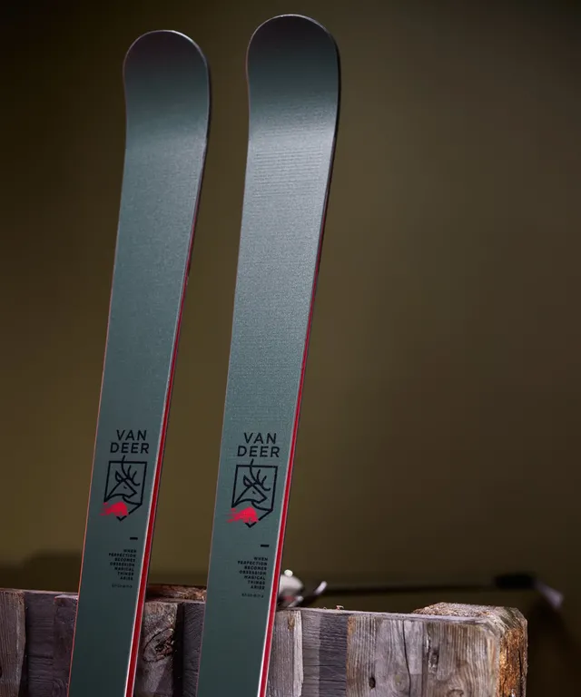 Горные лыжи Van Deer GS PRO RS 183cm R25 юниорские/мастерс с платформой Look R22