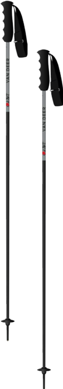 Палки RACE CARBON grey/black 110sm