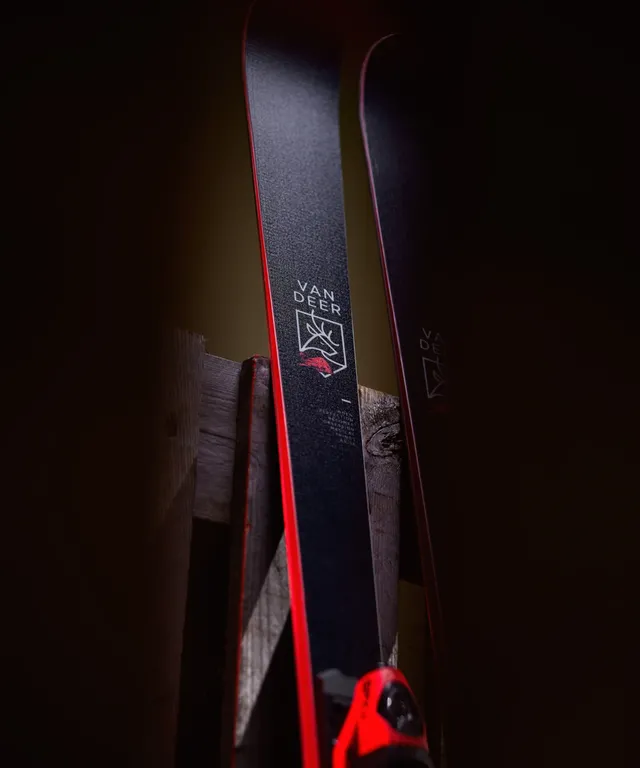 Юниорские  для слалома гиганта Van Deer GS-JR PRO 18 Длина 164cm Радиус 18м + крепления SPX11