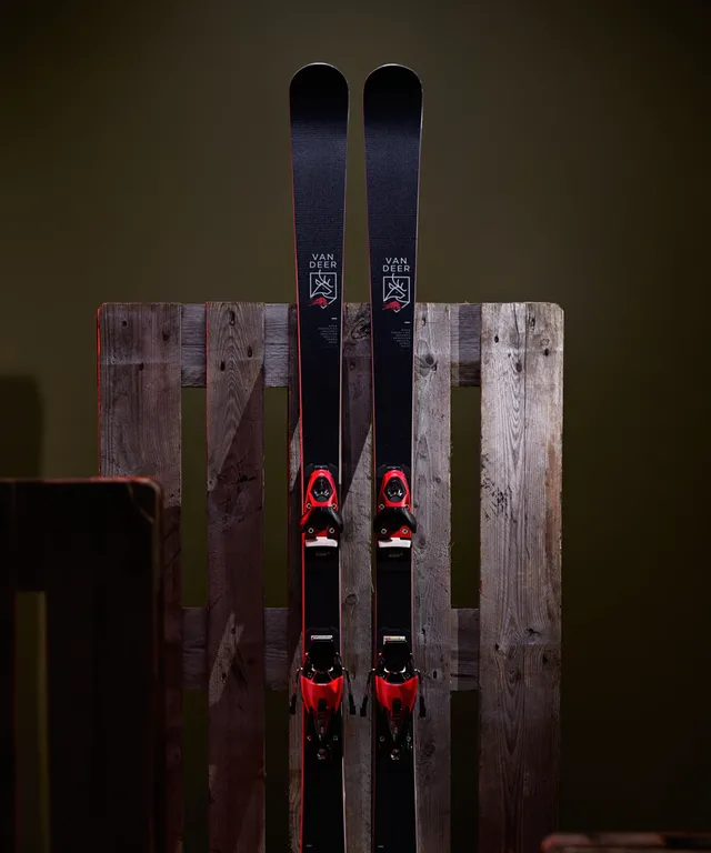 Горные лыжи юниорские Van Deer GS-JR PRO 164cm R18 с платформой Look R21 PRO