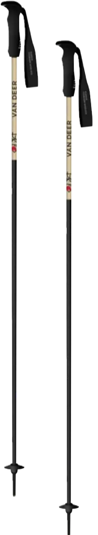 Палки горнолыжные PISTE CARBON sand/black